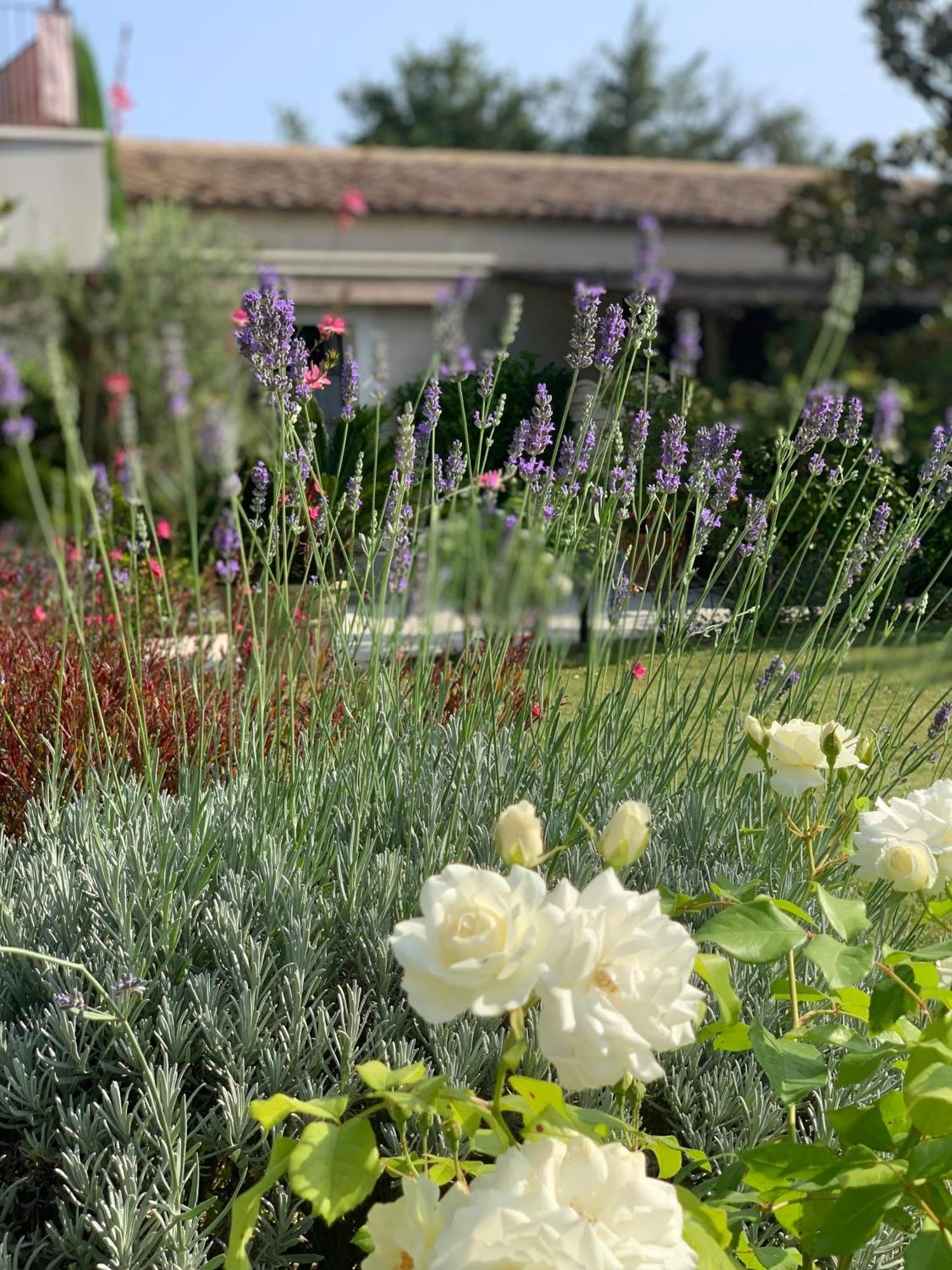 Residence Melody Saint-Remy-de-Provence Exterior photo